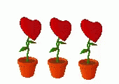 Three Moving Heart Flowers GIF