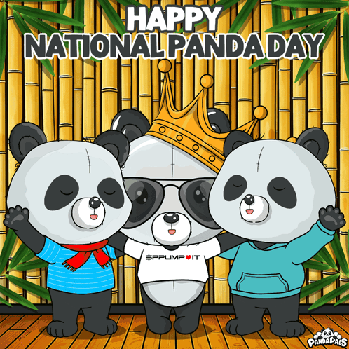 Three Panda Bears Bamboo Wall Happy National Panda Day GIF
