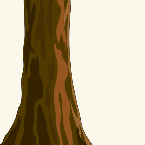 Three Penguins Are Peeking Out From Behind A Tree Trunk GIF