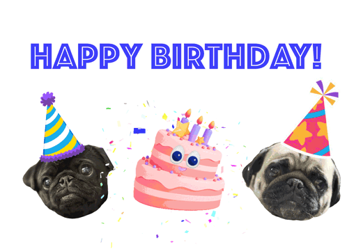 Three Pug Dogs in Party Hats and Birthday Cake