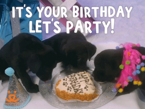 Three Puppies It's Your Birthday Let's Go Party GIF