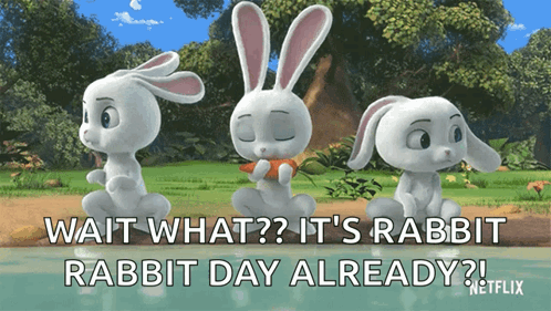 Three Rabbits Sitting With Wait What GIF