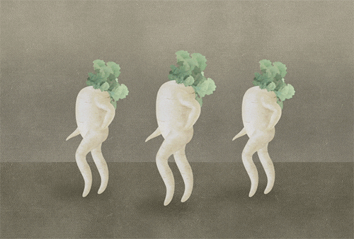 Three Radish Unison Happy Dance Meme GIF