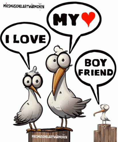 Three Seagulls Saying I Love My Boyfriend
