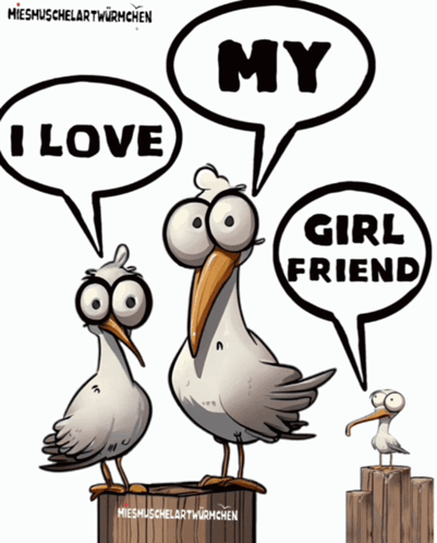 Three Seagulls Saying I Love My Girlfriend