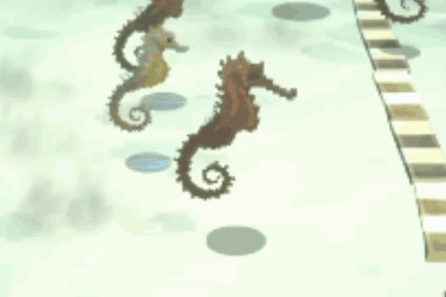 Three Seahorses Are Standing Next To Each Other GIF
