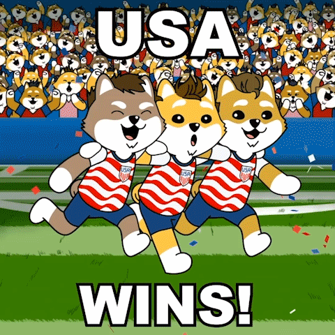 Three Shiba Inu Dogs Running With USA Wins Caption GIF