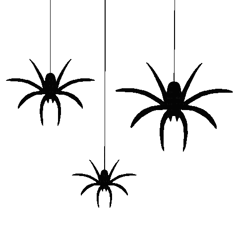 Three Spiders Hanging From String