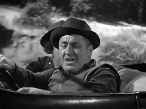 Three Stooges Car Bear Driving GIF