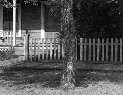Three Stooges Hiding Tree GIF