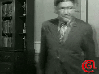 Three Stooges Moe Flower Pot Hit GIF