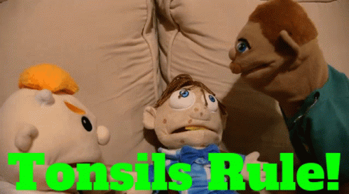 Three Stuffed Animals Are Sitting On A Couch With The Words Tonsils Rule GIF