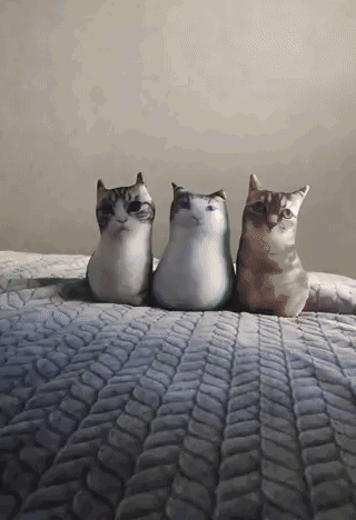 Three Stuffed Cats Are Sitting On A Bed With A White Blanket GIF