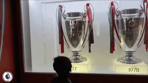 Three Trophies in Glass Case 1978