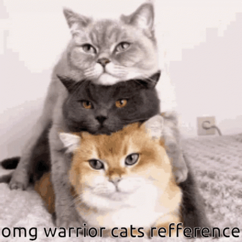 Three Warrior Cats Reference GIF