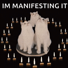 Three White Cats Surrounded by Candles Manifesting It