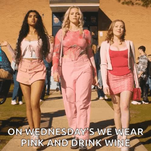 Three Women Are Walking Down A Sidewalk With The Caption On Wednesday We Wear Pink And Drink Wine GIF