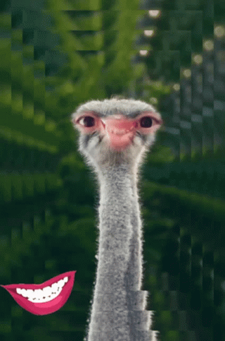 Three Women In Car Saying Get In Loser We Re Going Shopping GIF