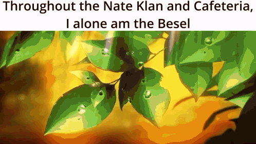 Through The Nate Klan And Cafeteria I Alone Am The Besl GIF