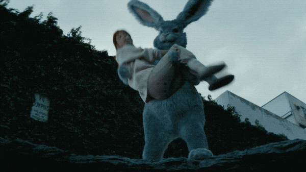 Throw Down The Rabbit Hole GIF