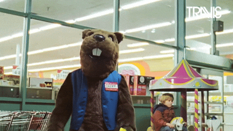 Throw In The Towel Beaver Mascot Gives Up GIF