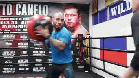 Throwing Ball Boxing Practice GIF