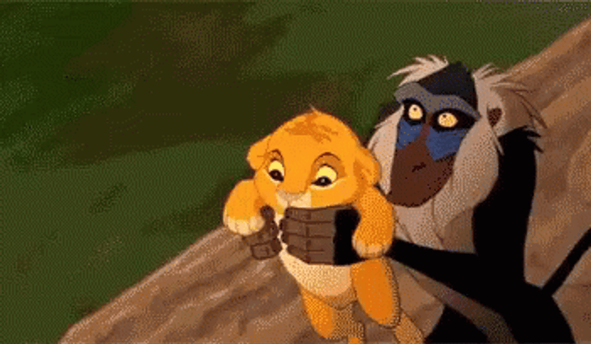 Throwing Circle Of Life  GIF
