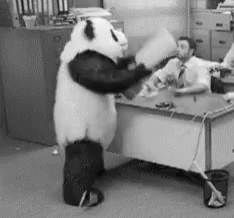 Panda Mascot Throwing Computer GIF