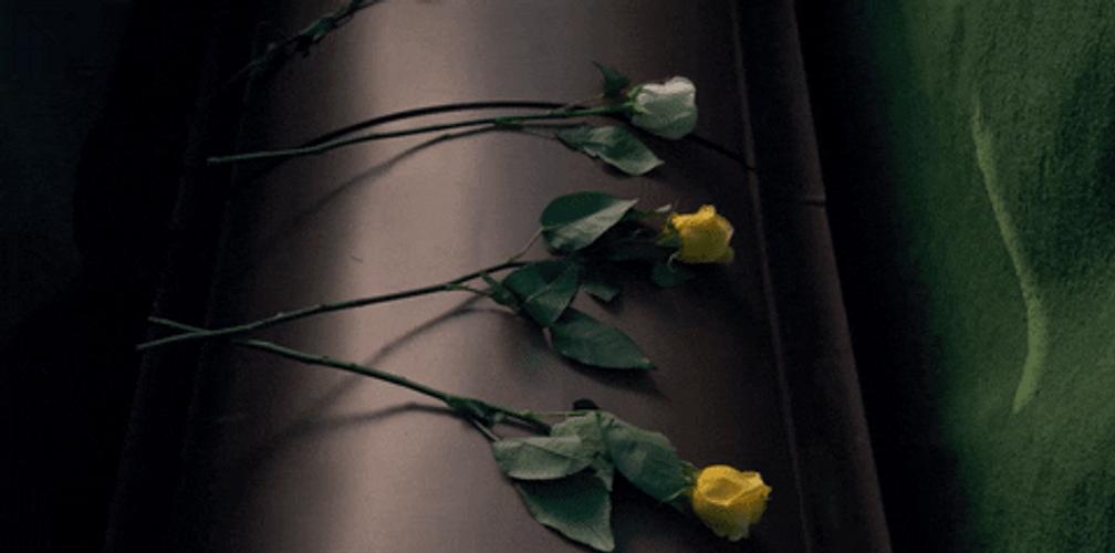 Throwing Flower Funeral Stranger Things Scene GIF