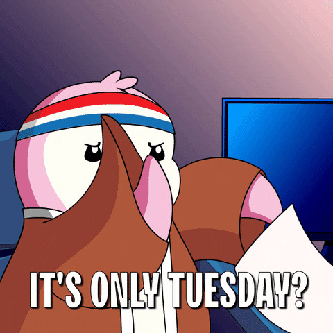 Throwing Papers Penguin It's Only Tuesday GIF