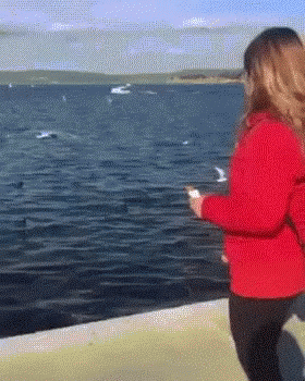 Throwing Phone By Mistake GIF