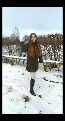 Thrown The Snowfall GIF