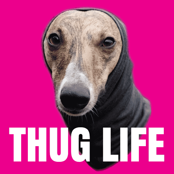 Thug Life Dog Meme GIF