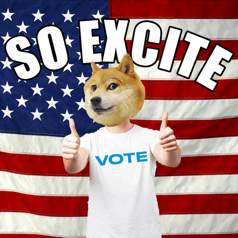 Thumbs Up Excited Doge Meme GIF