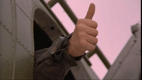 Thumbs Up Shut By The Door GIF
