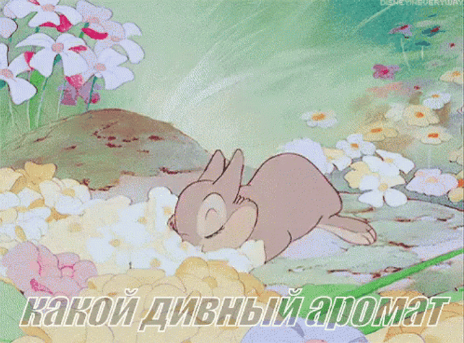 Thumper GIF