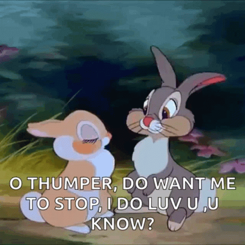 Thumper Do You Want Me To Stop GIF