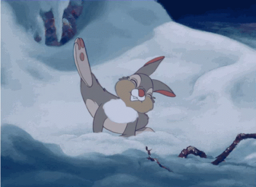 Thumper Getting Snow Off Ears GIF