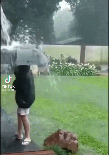 Thunder 350 X 498 Gif GIF