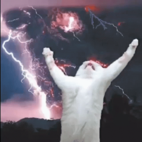 Cat Thunder Storm GIF