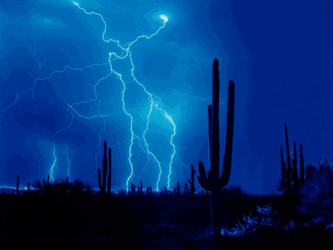 Multiple Thunderstorm Behind Cactus GIF
