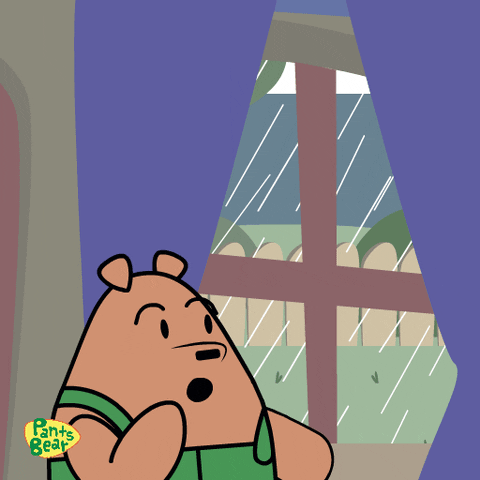 Pants Bear Looking Outside Thunderstorm GIF