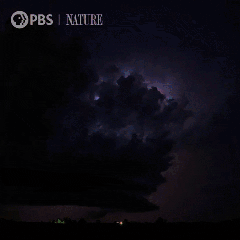 Purple Skies During Violent Thunderstorm GIF