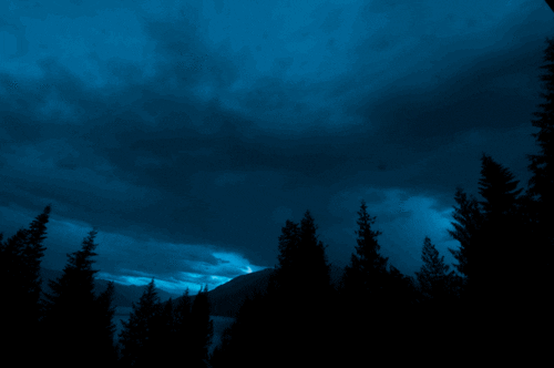 Dark Skies Thunderstorm On Forest GIF