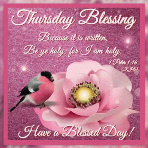 Thursday Blessing With Pink Flower and Bird