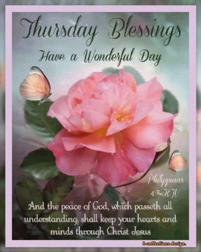 Thursday Blessings Have A Wonderful Day GIF