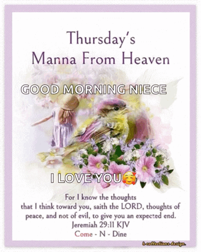 Thursday's Manna from Heaven Good Morning Niece