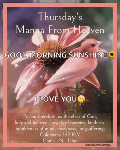 Thursday's Manna From Heaven Good Morning Sunshine