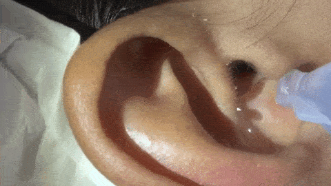 Tickle Ear Spider Water GIF