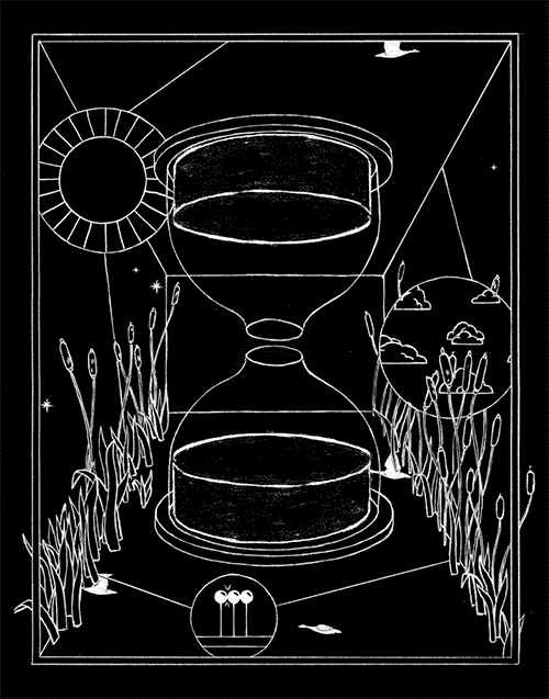 Tiffy Time Glass GIF